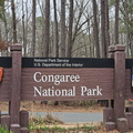 Congaree National Park-SC-022724