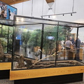 Congaree National Park-SC-022724