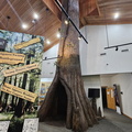 Congaree National Park-SC-022724