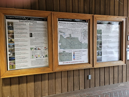 Congaree National Park-SC-022724
