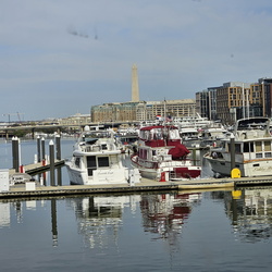 Cherry Blossom Cruise DC 032624