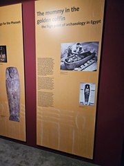 King Tut-ing 050824