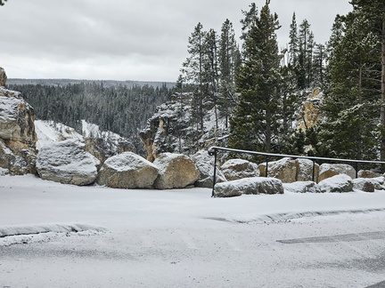 Glacier and Yellowstone NPs May 2024-Day 6