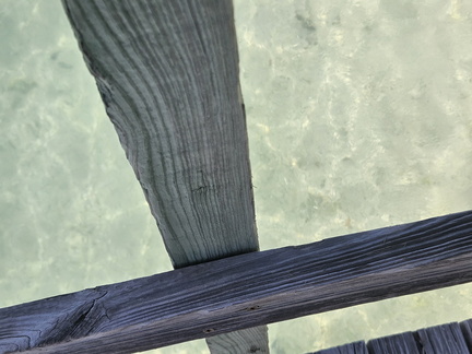 Dry Tortugas National Park 110224