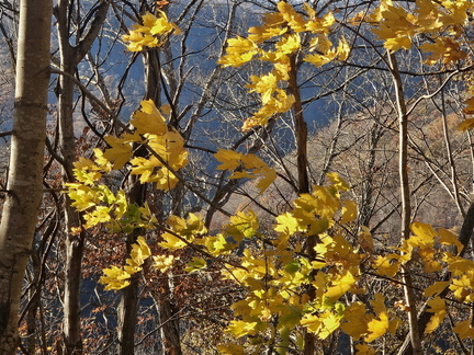 New River Gorge National Park November 8-9 2024