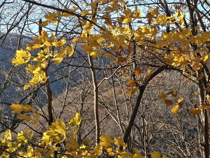 New River Gorge National Park November 8-9 2024
