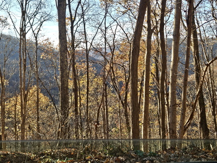 New River Gorge National Park November 8-9 2024
