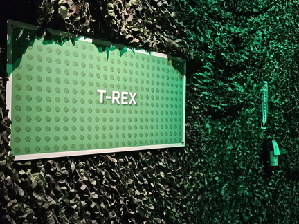 Seein' the DMV-The Art of the Brick: An Exhibition of LEGO Art, 022625