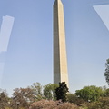 Seein' the DMV-Cherry Blossoms and More 040125
