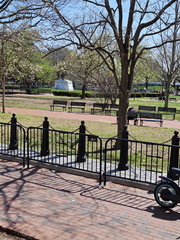 Seein' the DMV-Cherry Blossoms and More 040125