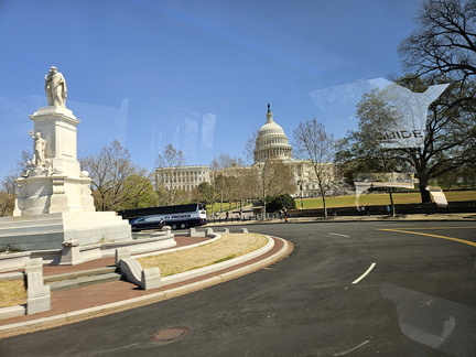 Seein' the DMV-Cherry Blossoms and More 040125