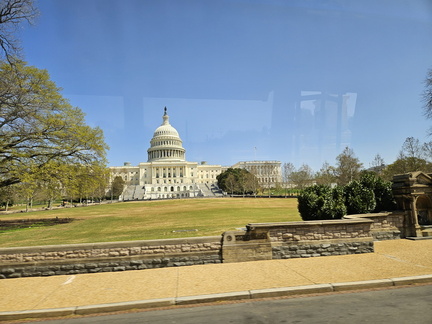Seein' the DMV-Cherry Blossoms and More 040125