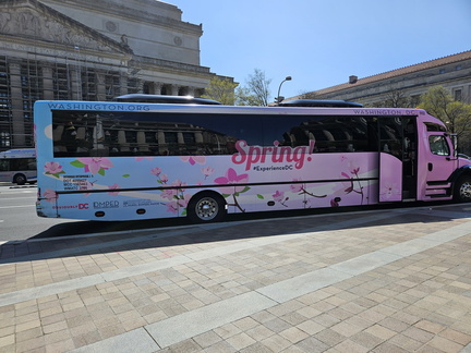 Seein' the DMV-Cherry Blossoms and More 040125