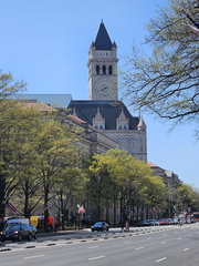 Seein' the DMV-Cherry Blossoms and More 040125