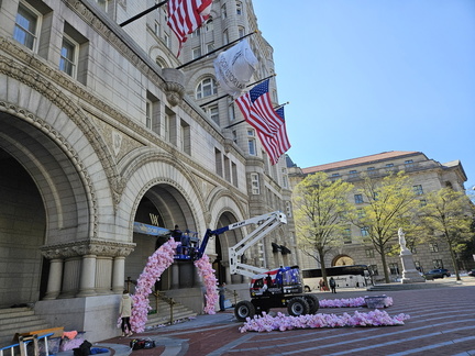 Seein' the DMV-Cherry Blossoms and More 040125