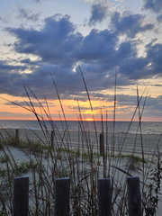 Ocean City and Assateague Island 050125