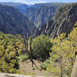 5 Parks in 5 Days-Day 3-Black Canyon of the Gunnison 052125