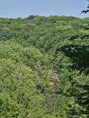 Cuyahoga Valley NP-The Tour 061125