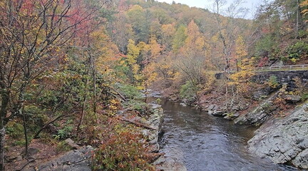 Return to Smoky Mountains NP-103025