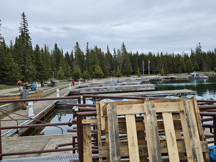 5 Parks in 5 Days-Day 5-Isle Royale NP-052325