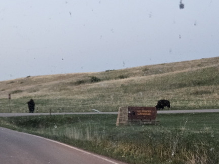 5 Parks in 5 Days-Day 4-Wind Cave NP-052225