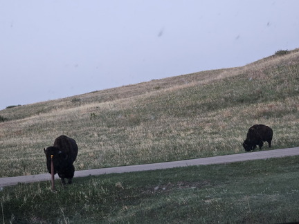 5 Parks in 5 Days-Day 4-Wind Cave NP-052225