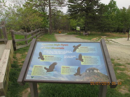 Pilot Mountain State Park-050715