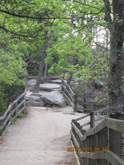 Pilot Mountain State Park-050715