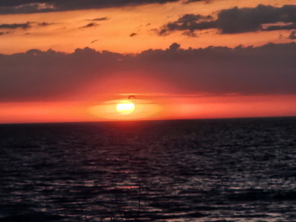Seein' the DMV-Ocean City-Assateague Island-050125