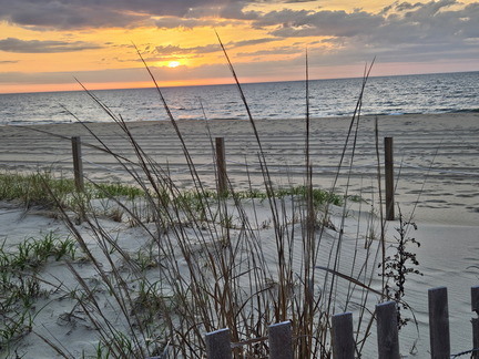 Seein' the DMV-Ocean City-Assateague Island-050125