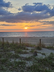 Seein' the DMV-Ocean City-Assateague Island-050125