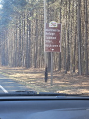 Seein' the DMV-Harriet Tubman Byway-032325