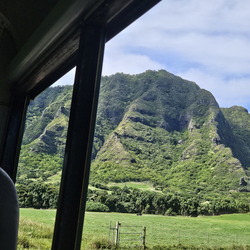 Hawaiian Cruise 2024-Day 4-Oahu