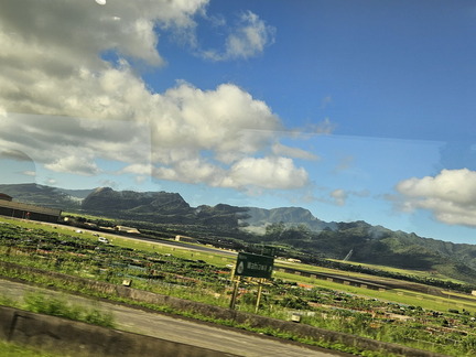 Hawaiian Cruise 2024-Day 2-Oahu