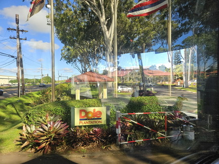 Hawaiian Cruise 2024-Day 2-Oahu