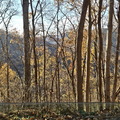New River Gorge NP-110924