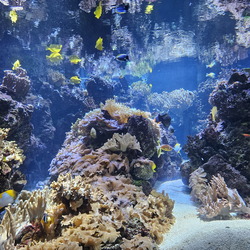 Seein' the DMV-Back in Baltimore-072625