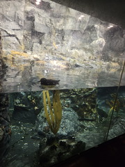 Seein' the DMV-Back in Baltimore-072625