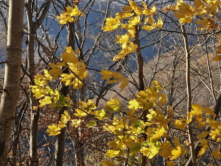 New River Gorge NP-110924