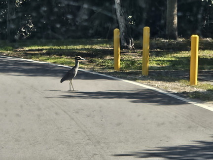 Biscayne NP-110124