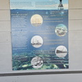Biscayne NP-110124