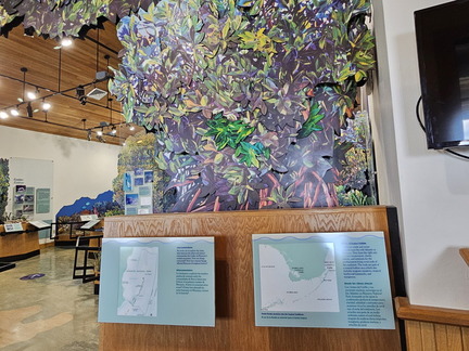 Biscayne NP-110124