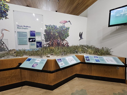 Biscayne NP-110124
