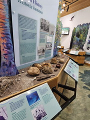 Biscayne NP-110124