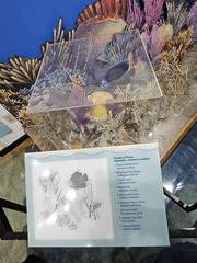 Biscayne NP-110124