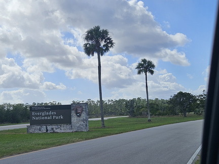Everglades NP-110124