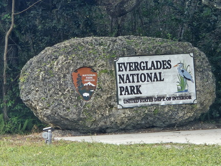 Everglades NP-110124
