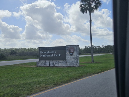 Everglades NP-110124