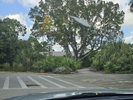 Everglades NP-110124