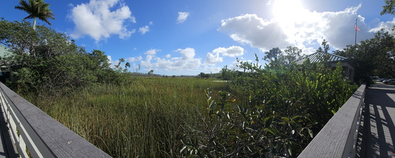 Everglades NP-110124